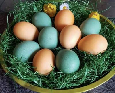 Frohe und gesunde Ostern 2020 ! 