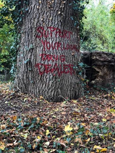 Leider wurden nun die B�ume auf dem Kleinen Kanian bespr�ht ... ohne Worte ... einfach traurig !!! - Aufnahme vom 01.11.2020. 