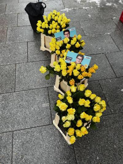 180 gelbe Rosen wurden am 14.02.2025 auf dem Markt verteilt. 