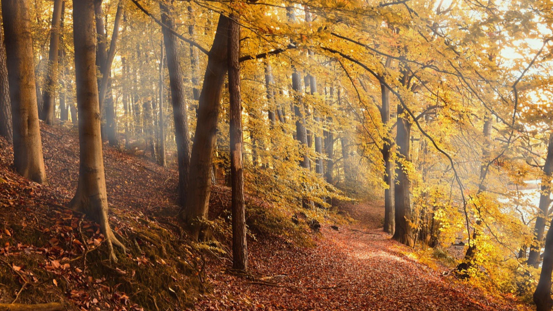 Herzlich Willkommen auf meiner Homepage !