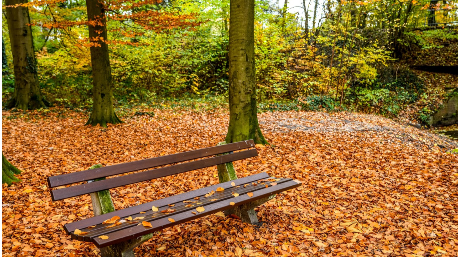 Herzlich Willkommen auf meiner Homepage !