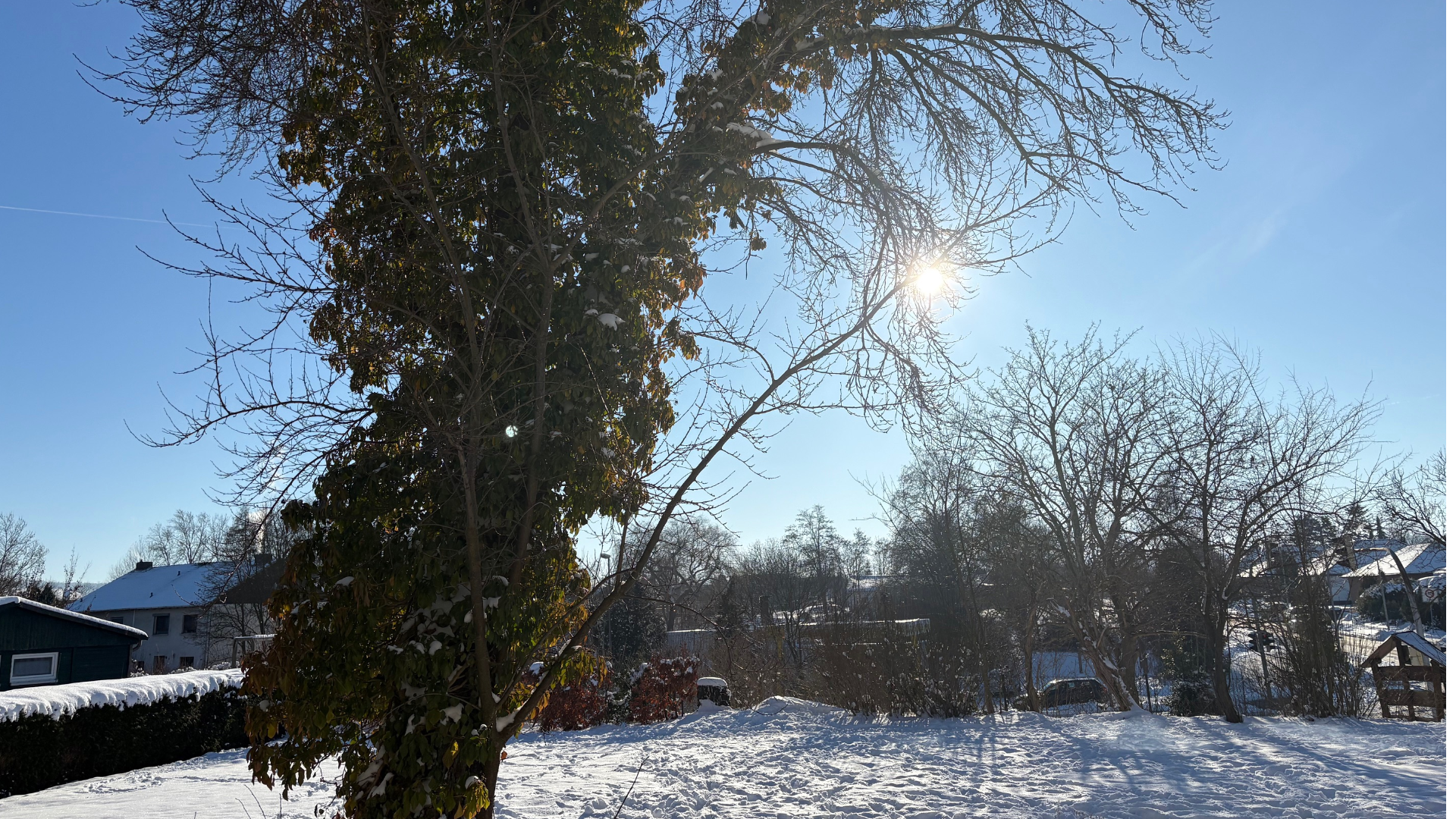 Herzlich Willkommen auf meiner Homepage !