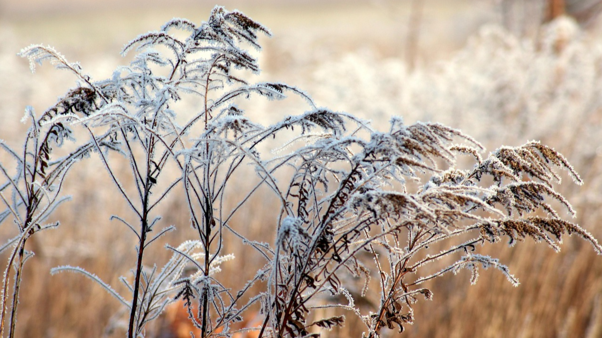 Herzlich Willkommen auf meiner Homepage !