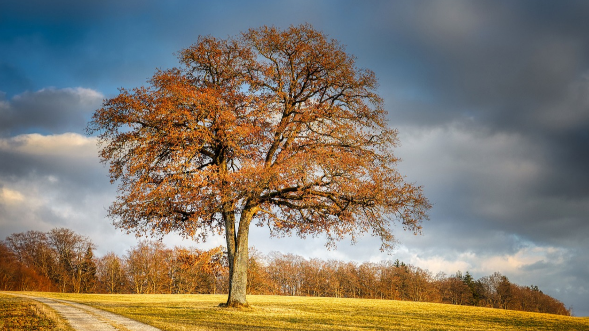 Herzlich Willkommen bei Lars Wedekind !