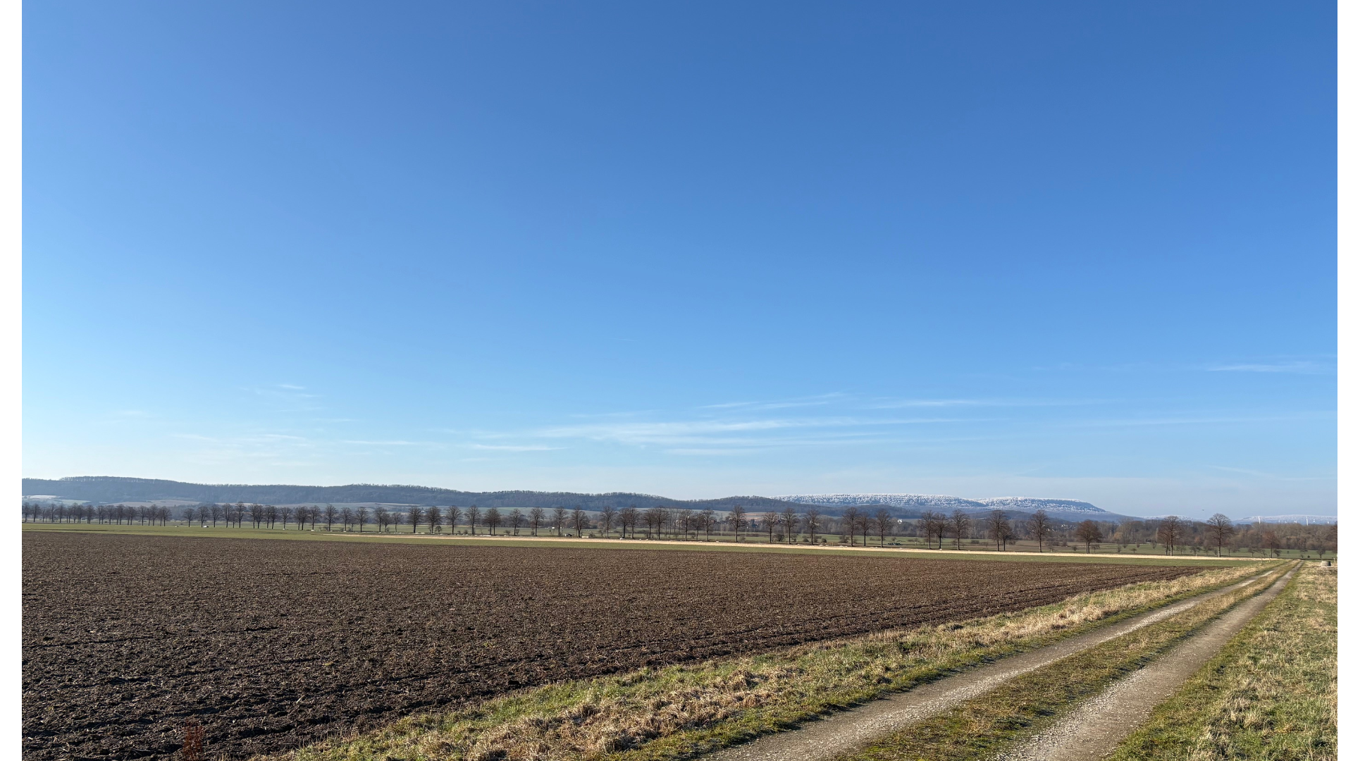 Herzlich Willkommen bei Lars Wedekind !