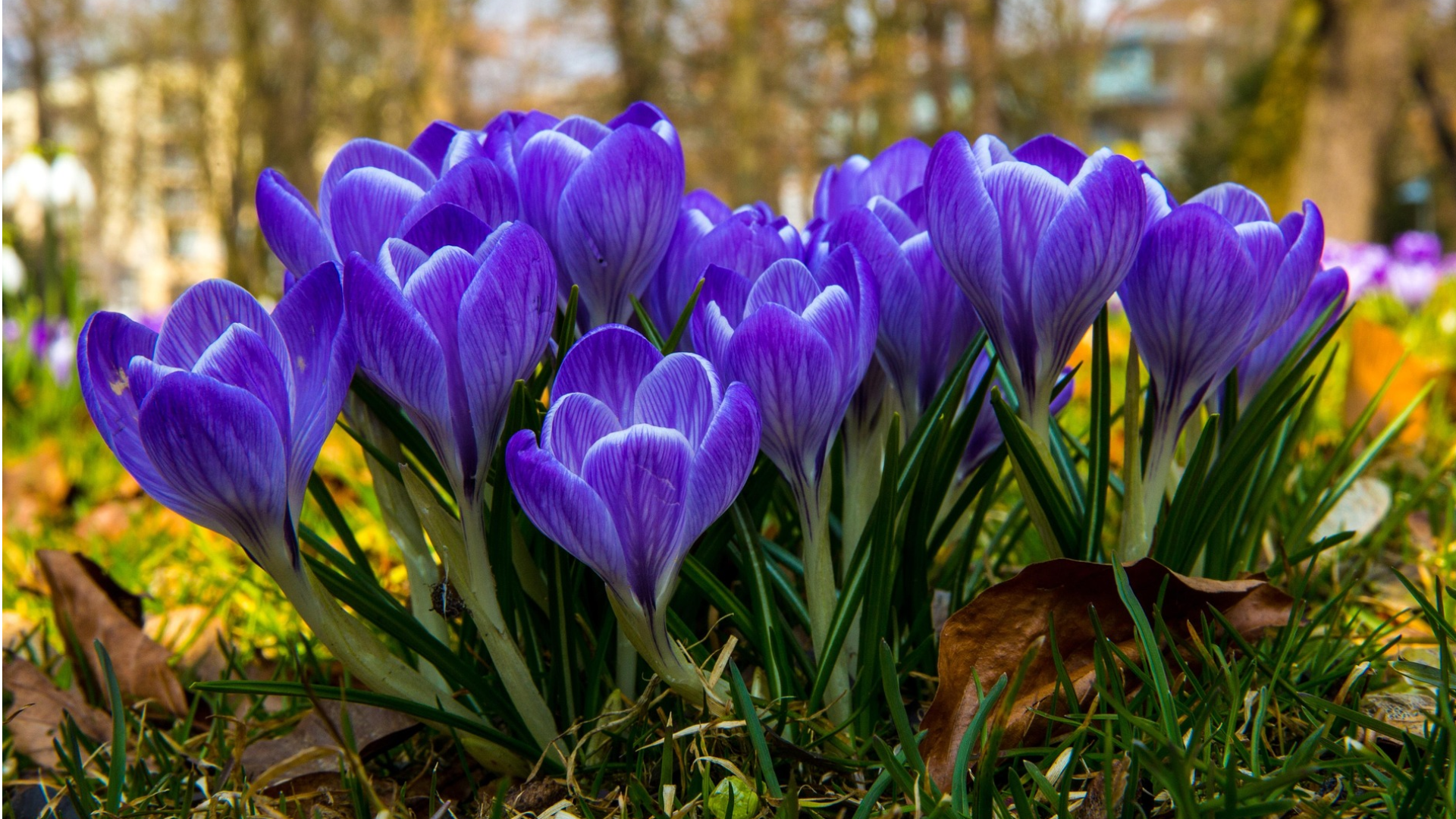 Herzlich Willkommen bei Lars Wedekind !