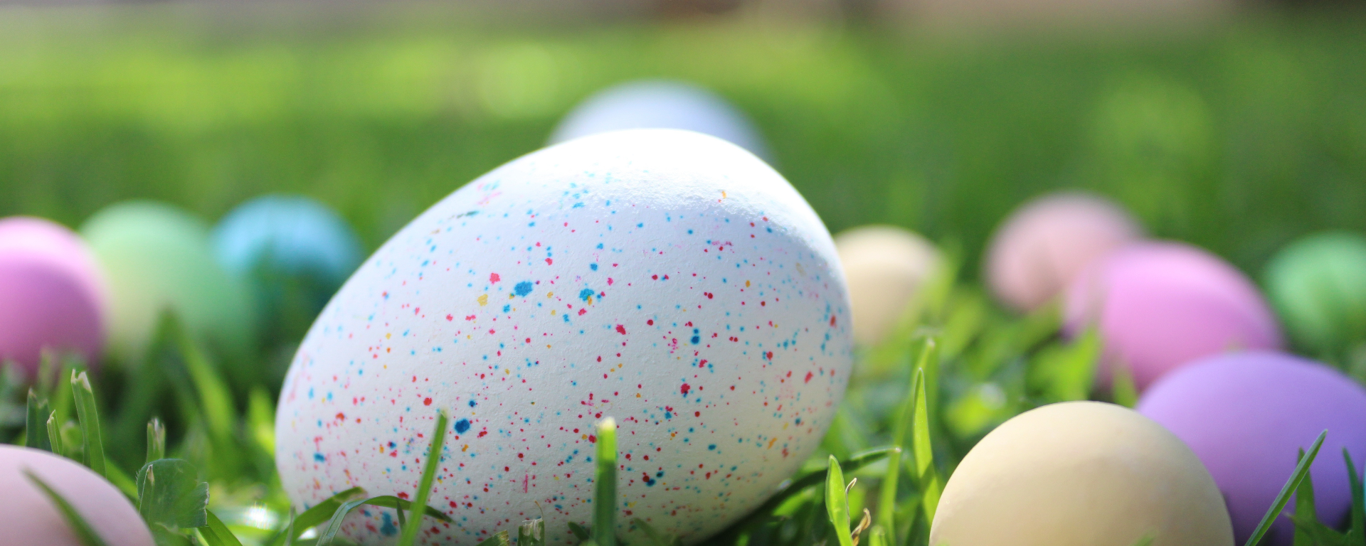 Willkommen bei Lars Wedekind !