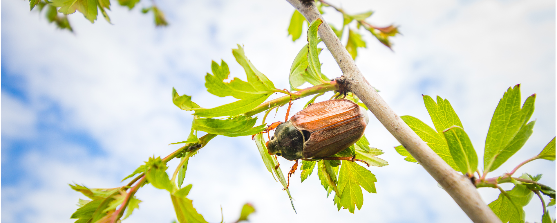 Herzlich Willkommen bei Lars Wedekind ! 